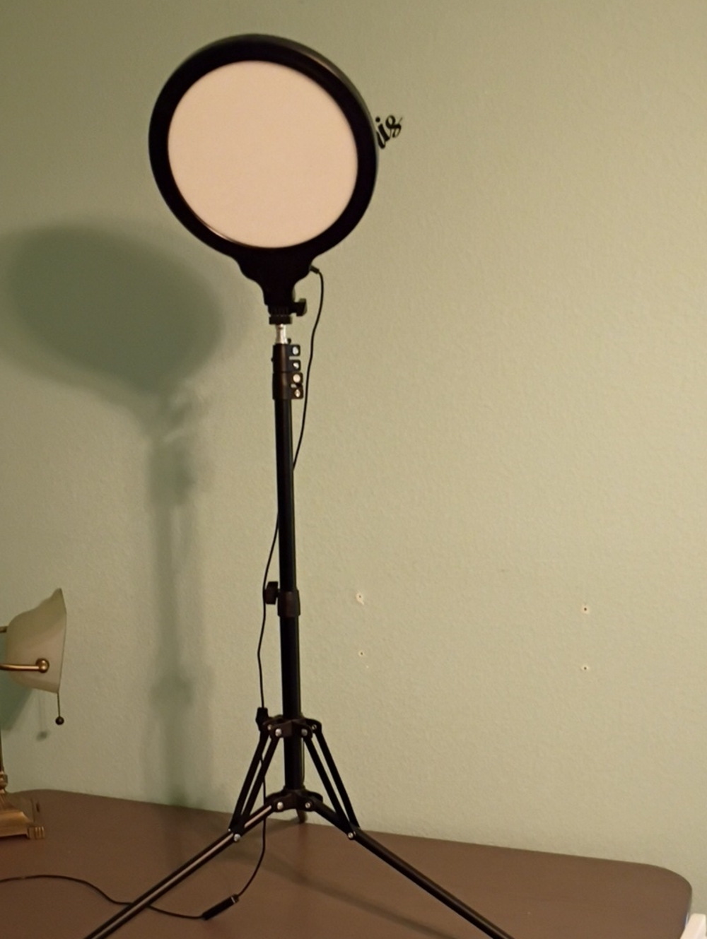 Adjustable Black Ring Light on Tripod - White Diffuser